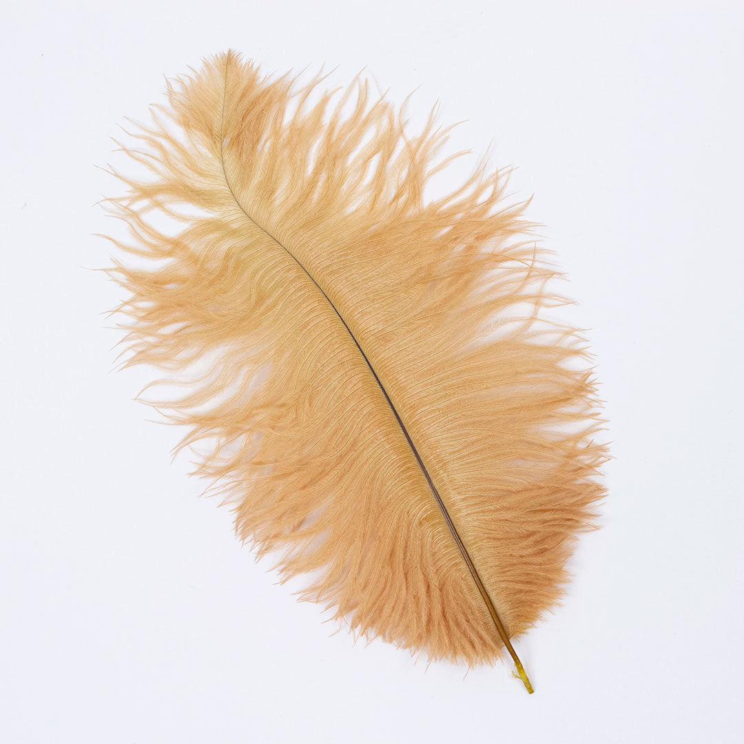 Ostrich Drab Feather Medium 1 pc – MarabouBrothers