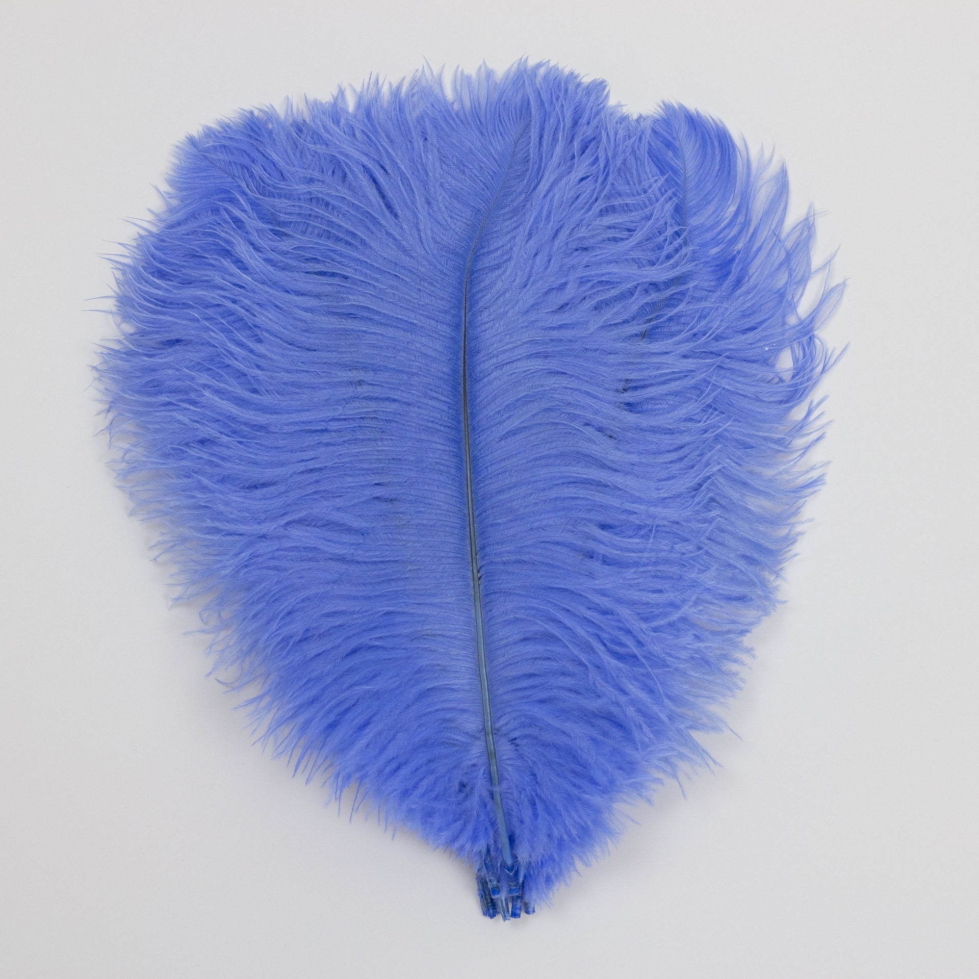 Ostrich Drab Feather Large 1 pc – MarabouBrothers