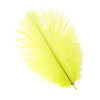 Ostrich Drab Feather Small 1 pc
