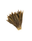 Ringneck Pheasant Tails Selected 2 pc