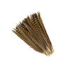 Ringneck Pheasant Tails Selected 2 pc