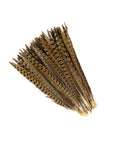 Ringneck Pheasant Tails Selected 2 pc