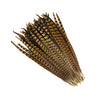 Ringneck Pheasant Tails Selected 2 pc