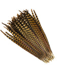 Ringneck Pheasant Tails Selected 2 pc