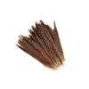 Female Ringneck Pheasant Tails 2 pc