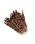 Female Ringneck Pheasant Tails 2 pc