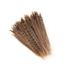 Female Ringneck Pheasant Tails 2 pc