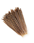 Female Ringneck Pheasant Tails 2 pc