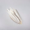 Pheasant Silver Tail Selected 1 pc