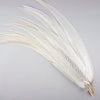 Pheasant Silver Tail Selected 1 pc