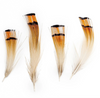 Golden Pheasant Plumage 0.04oz