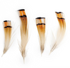 Pheasant Golden Plumage 0.04oz