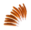 Pheasant Tails 4-5in 12 pc