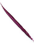 Pheasant Lady Amherst Tails Selected 20-30in 1pc