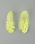 Rooster Plumage Loose 1/4oz