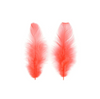 Rooster Plumage Loose 1/4oz