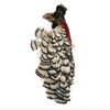 Pheasant Lady Amherst Crest (Neck Only)