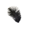 Ostrich Drab Feather Large 1 pc