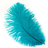 Ostrich Drab Feather Large 1 pc
