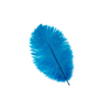 Ostrich Drab Feather Large 1 pc