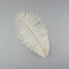 Ostrich Drab Feather Large 1 pc