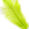 Ostrich Drab Feather Large 1 pc