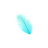 Ostrich Drab Feather Large 1 pc