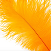 Ostrich Drab Feather Large 1 pc
