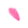Ostrich Drab Feather Large 1 pc