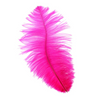 Ostrich Drab Feather Large 1 pc