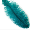 Ostrich Drab Feather Large 1 pc