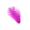 Ostrich Drab Feather Large 1 pc