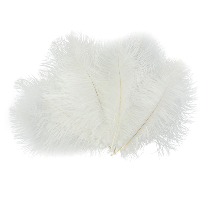 セール! Feather and Brush:オーストラリア鳥類芸術300年 セール セール! Feather and Brush:オーストラリア鳥類芸術300年 セール