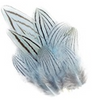 Pheasant Silver Plumage 12pc