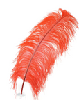 Ostrich Feather X-Large Herl 1 pc