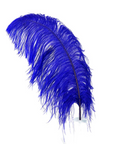Ostrich Feather X-Large Herl 1 pc