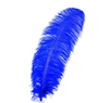 Ostrich Feather X-Large Herl 1 pc