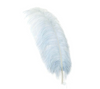 Ostrich Feather X-Large Herl 1 pc