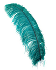 Ostrich Feather X-Large Herl 1 pc