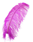 Ostrich Feather X-Large Herl 1 pc