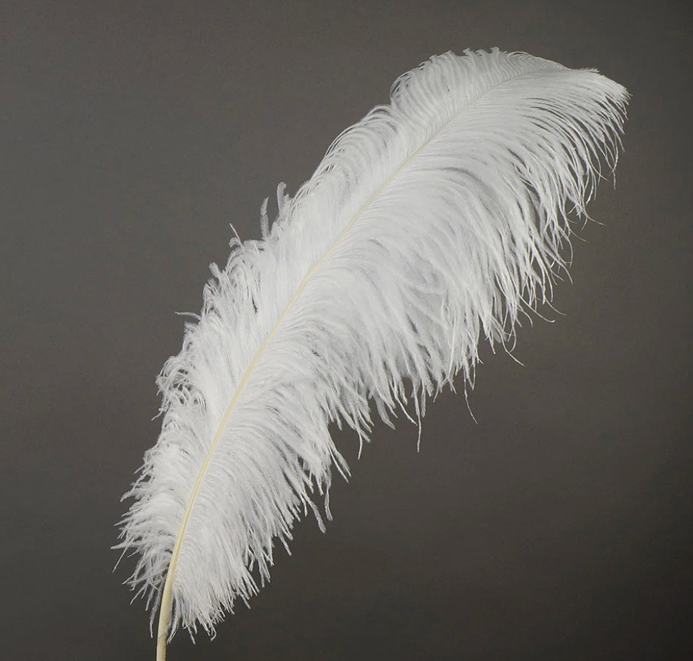Ostrich Feather X-Large Herl 1 pc