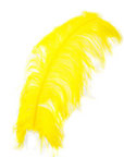 Ostrich Feather X-Large Herl 1 pc