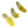 Guinea Plumage Loose 1/8 oz