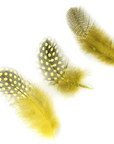 Guinea Plumage Loose 1/8 oz