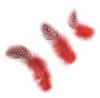 Guinea Plumage Loose 1/8 oz