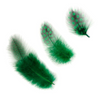 Guinea Plumage Loose 1/8 oz