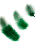 Guinea Plumage Loose 1/8 oz