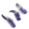 Guinea Plumage Loose 1/8 oz