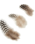 Guinea Plumage Loose 1/8 oz
