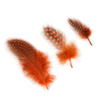 Guinea Plumage Loose 1/8 oz